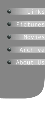 Side nav buttons
